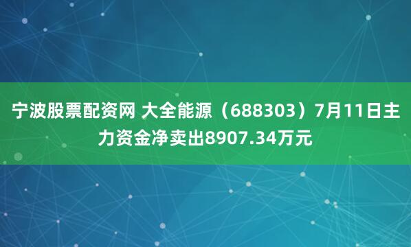 宁波股票配资网 大全能源（688303）7月11日主力资金净卖出8907.34万元